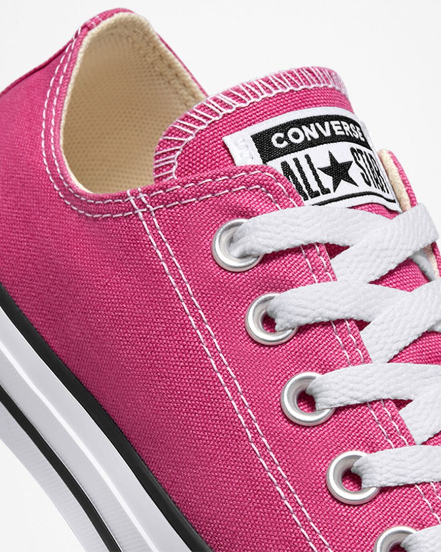 Women's Converse Chuck Taylor All Star Seasonal Color Low Top Shoes Fuchsia / White / Black | AU C0985T